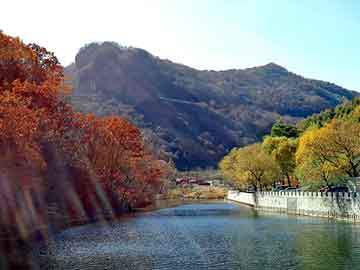 新澳天天开好彩资料大全，江川seo排名